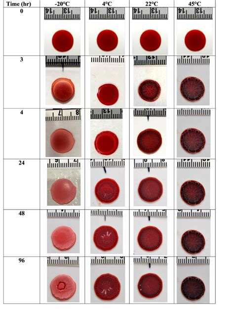 does false blood stain work